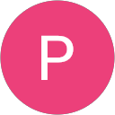 Paria M. profile picture